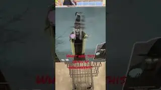👻 what was this doing at Walgreens?? #Walgreens #Halloween #Animatronic #Witch ￼￼￼￼￼￼