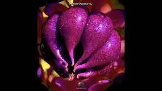 Percussionata