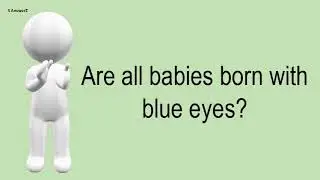 Are All Babies Born With Blue Eyes?