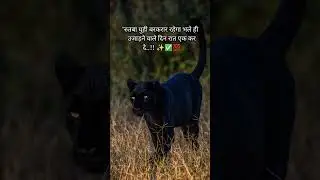 #shorts #motivation #attitude #whatsappstatus #success #sayari #status #reels #shortsfeed#viral