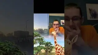 TikTok giraffe gift ￼