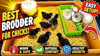 How to make a brooder for chicks at home/Diy Brooder/best brooder for chicks/Homemade Brooder/