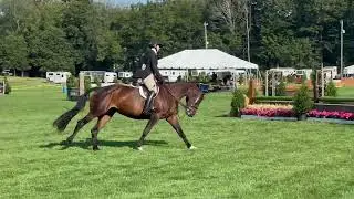 31. Emma Edelman 2026 Children's Hunter Horse Classic