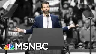 Bash On Senate Subpoena Of Trump Jr.: He 'Clearly Has Something Big To Hide' | The 11th Hour | MSNBC
