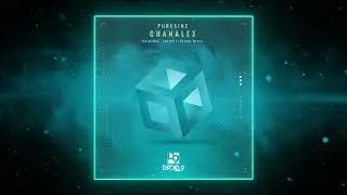 Puresine - Chanalex (Enertia-Sound Remix) [Droid9]
