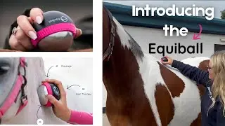 Meet the Equiball! | The Ultimate 3in1 Equine Massage Therapy Ball😍
