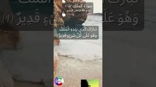 Quran |  Surah Al Mulk Read Online | Meaning, Benefits | Quran Read |