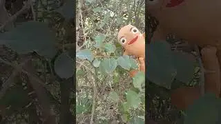 Liu 376 en el sementerio de Campo Fe xd