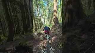Burke Mountain Deliverance JumpLine Red April 23, 2025