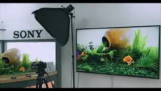 CameraJoint intro videoplayback