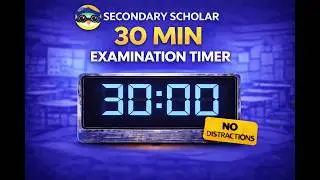 30 minute examination timer with 5 minute warning