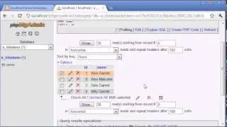 Beginner PHP Tutorial - 130 - LIKE With a Search Engine Example Part 1