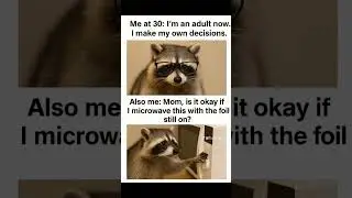 #funny #relatable #adulting #momlife #parentinghumor #raccoonmeme #animalsdoingthings #memevideo