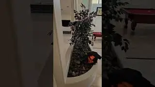 Luxury Stone Experts&ndash; High-End Floor Care for Marble & Travertine | Silver State Floor Restoration