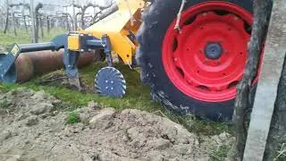 RT VITIS 65 V + FENDT 211 P VARIO