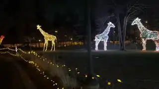 Detroit Zoo Wild Lights Tunnel of Lights