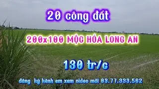 PHÁT HIỆN  2 MẪU ĐẤT LÚA  MẶT TIỀN  200 MÉT, XE TẢI CẬP ĐẤT  MỘC HÓA LONG AN