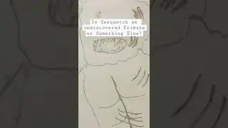 Is Sasquatch an Undiscovered Primate?