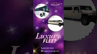 Megalimo Luxury Fleet