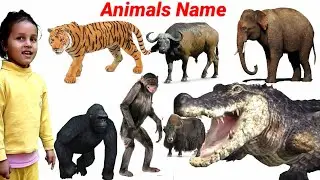 CUTE ANIMALS VIDEO Cow, Zebra, Bear, Cat, Rhino, Dog || Learn Animals Name || Animals Video | #cow |