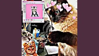 De4d Pixelz