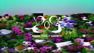 Bad Stream - Doom &infin; Bloom (Official Video)