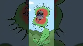 Flowerz