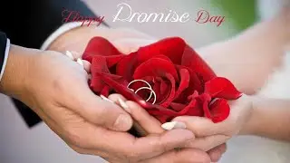 Happy Promise Day 2020 | Promise Day Song | Promise Day Special Whatsapp Status /#promiseday status