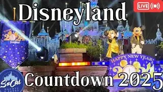 24 Hour Challenge Disneyland New Years Eve LIVE Countdown to 2025