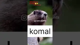 komal funny Name 🤣🤣👧#instagram #cartoon #shooting