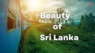 Train Diaries 🚉🍃❤