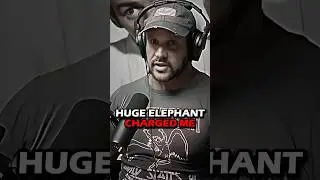 Elephant Charged Me, I Froze Up&hellip;