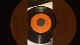 Johnny Bevidaz lets get together Timmion