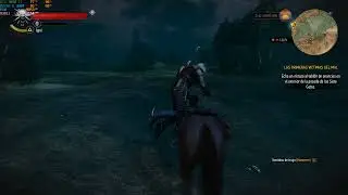 The Witcher 3 | Ryzen 5 3600 | RTX 3080 TI | 16 gb ram 3000mhz | 1920 x 1080