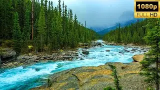Beautiful Turquoise Mountain River in Canada - Relaxing River Sounds, White Noise for Sleeping