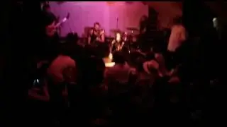 Gunned Down Horses at N7N8 Festival. Budapest, Hungary