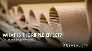 SAP Ripple Effect: Visualizing Supply Chain Impact with MD04