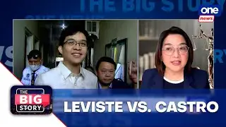 Castro questions Leviste’s libel complaint