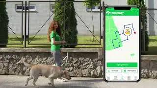 Dogway - 