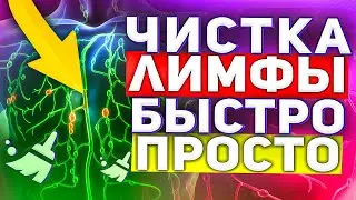 ✅ ЧИСТКА ЛИМФЫ ❗❗ЭФФЕКТИВНЫЙ МЕТОД КАК Не Дать ЛИМФЕ ЗАСТАИВАТЬСЯ❗❗  ЗДОРОВЫЙ ОБРАЗ ЖИЗНИ