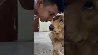 😭Vaarathula naalu naalo lemon sadhama #shorts #tamilshorts #minivlog #schoolroutine #shorts
