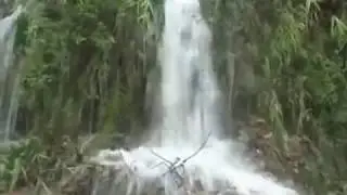 suab nplooj kho siab