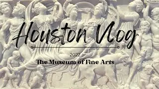 Houston Vlog | Fine Arts Museum Houston | Exploring the city | Houston, Texas | USA
