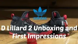 Adidas D Lillard 2 Unboxing - First Immpressions