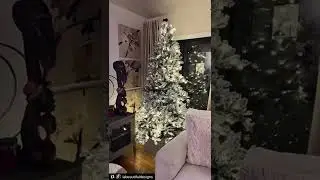 Christmas Decorations #Christmas2022 #FlockedTree #holidayseason #holidaydecorating