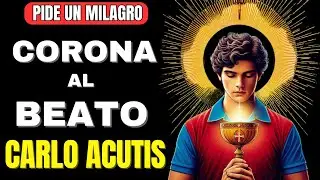 CARLO ACUTIS ¡AYÚDANOS!