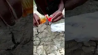 Amazing Oil Fishing New method of catching climbing perch fish from deep hole #fish #fishing #shorts