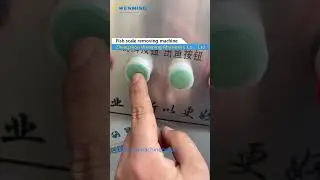 Fish scale removing machine #Fish Cleaning Machine