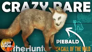 NIGHT HUNTING is a BRAND NEW EXPERIENCE!!! - Call of the Wild