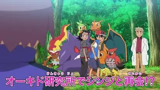 Pok&eacute;mon Journeys Capitulo 114 - El regreso de Paul | Avance
